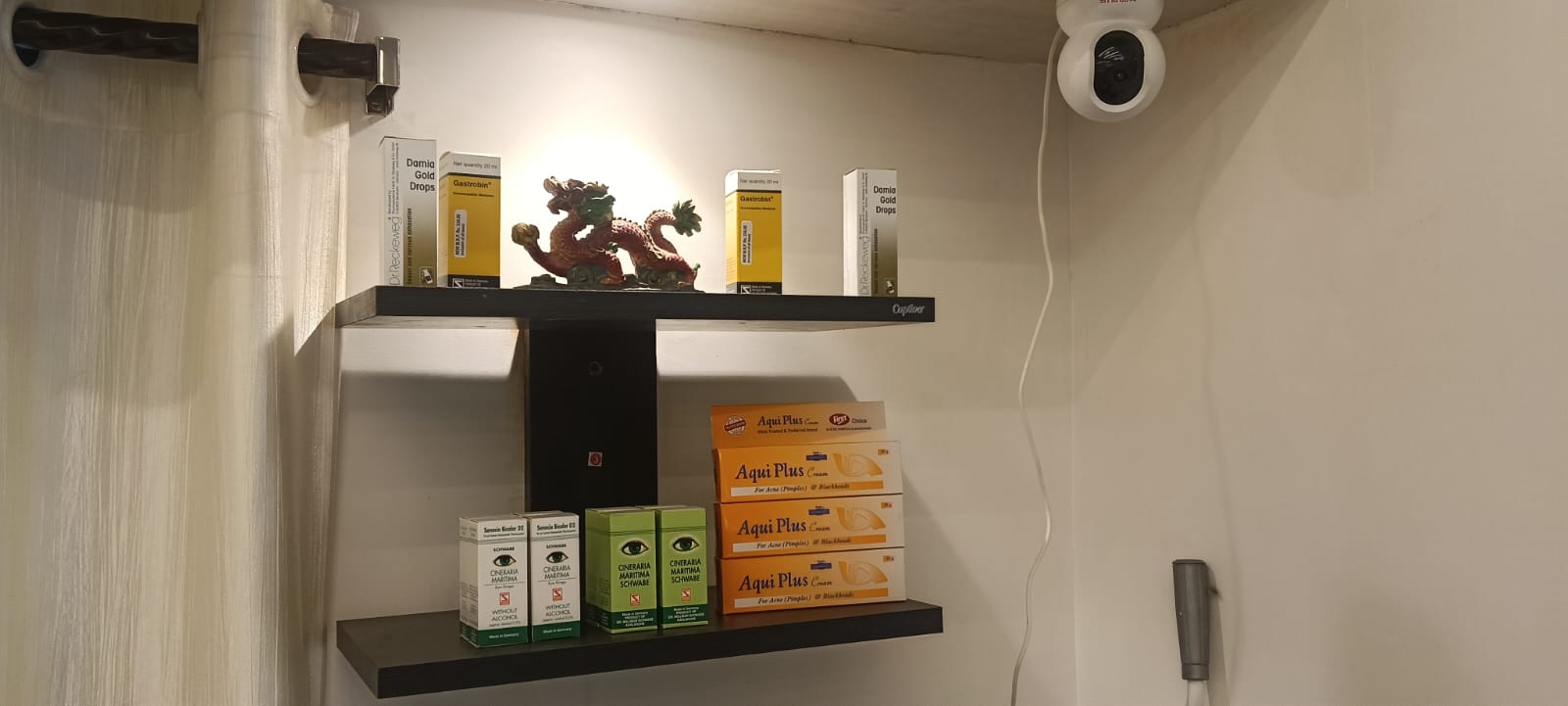 Selected wellness products at Sanjeevani